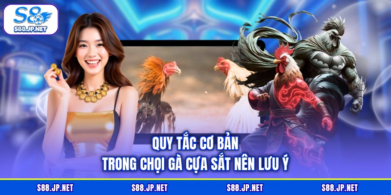 Quy tắc cơ bản trong chọi gà cựa sắt nên lưu ý Quy tắc cơ bản trong chọi gà cựa sắt nên lưu ý